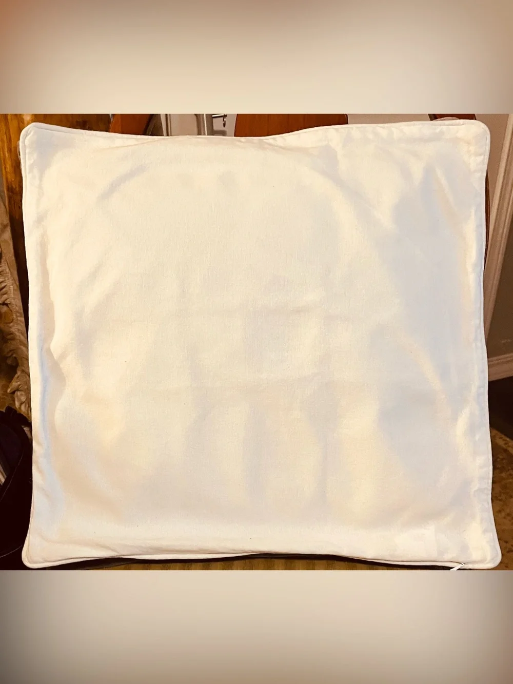 Like New PB Teen Pillow Cover 18x18